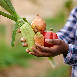 agricultura sustentavel